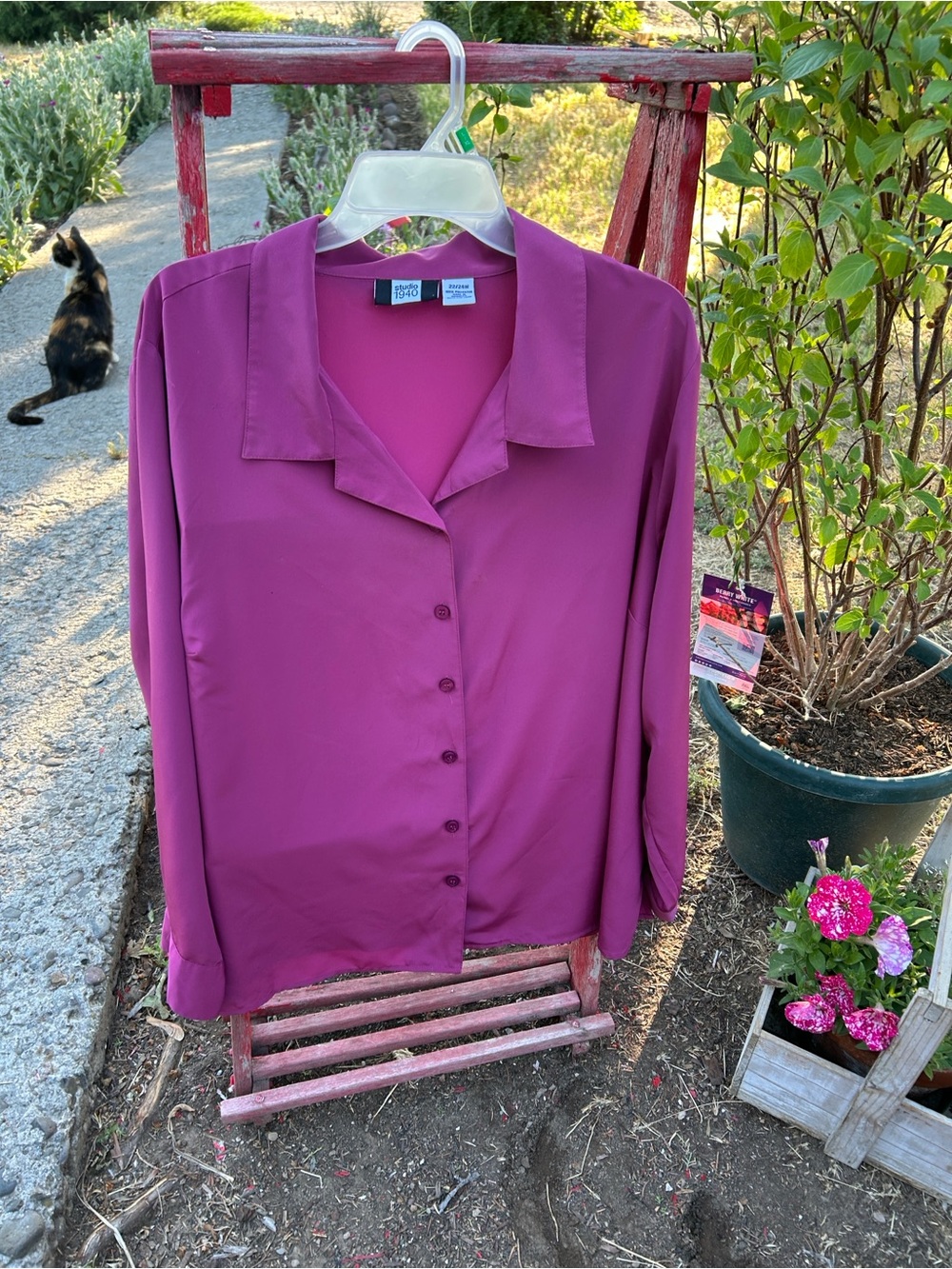 Studio 1940 Women's Deep Magenta Button-Down Shirt